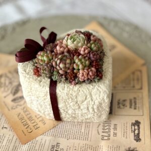 ちまちまのバレンタインハート多肉鉢