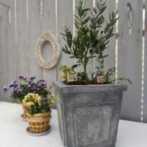 パターンポット